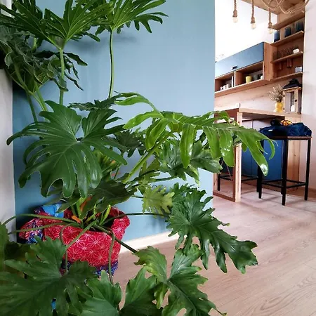 Rare View アパート *